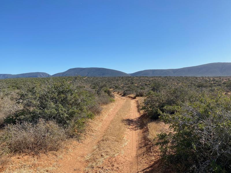 0 Bedroom Property for Sale in Kirkwood Eastern Cape